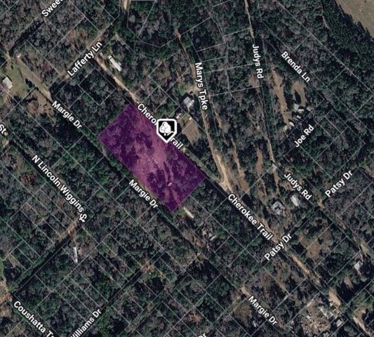 220 Cherokee Trail, Livingston, TX 77351