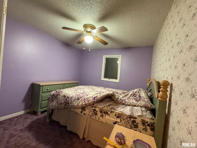 1219 S Boch Street, Taylorville, IL 62568