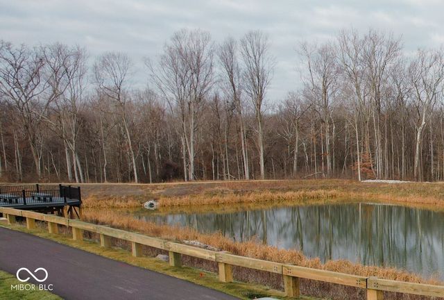 9893 Greenvine Drive, Carmel, IN 46290