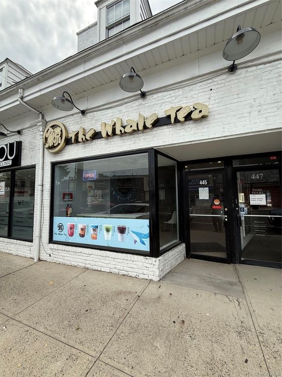 445 plandome, Manhasset, NY 11030 — exterior