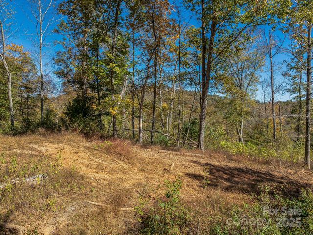 99999 Meadows Town Road, Marshall, NC 28753