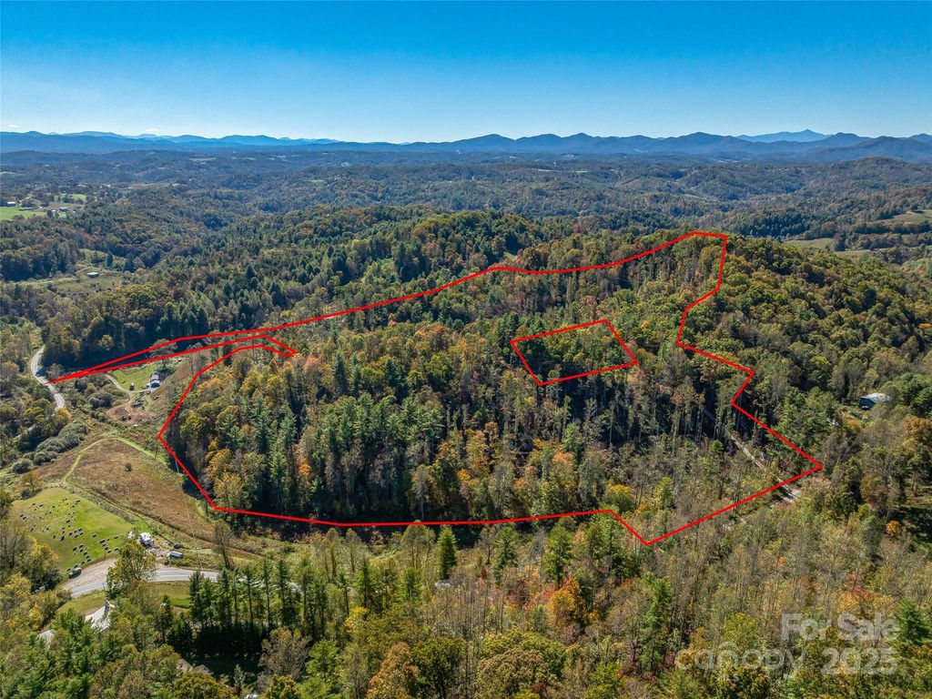 99999 Meadows Town Road, Marshall, NC 28753