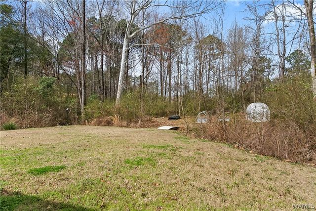 16010 Lake Hills, Northport, AL 35475