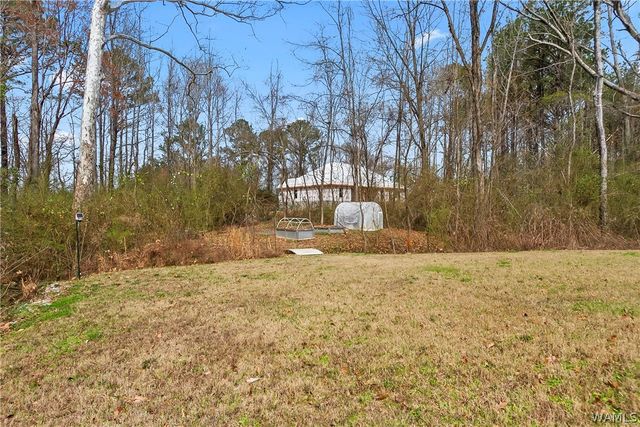 16010 Lake Hills, Northport, AL 35475