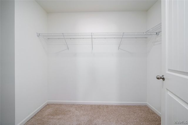 9269 Cotton Fields, Tuscaloosa, AL 35405