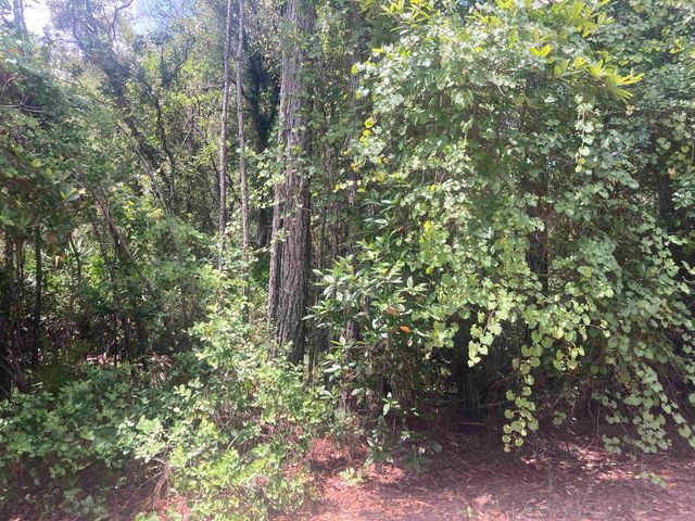 327 Palm Way, Georgetown, FL 32139