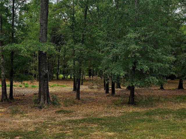 Lot 4 Hidden Cove Road, Point Blank, TX 77364
