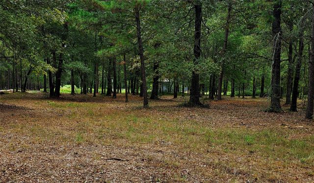 Lot 4 Hidden Cove Road, Point Blank, TX 77364