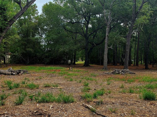 Lot 4 Hidden Cove Road, Point Blank, TX 77364
