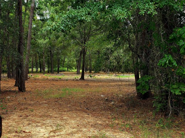 Lot 4 Hidden Cove Road, Point Blank, TX 77364