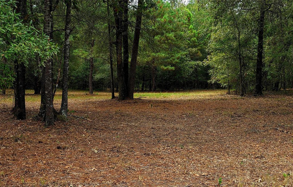 Lot 4 Hidden Cove Road, Point Blank, TX 77364