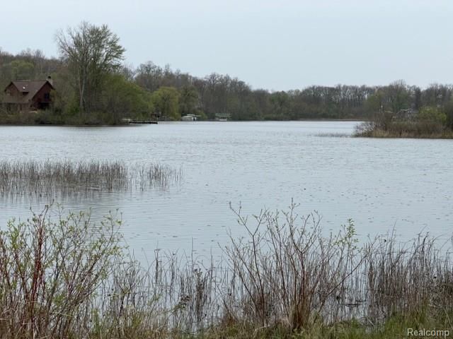 1983 Maxfield Road, Hartland Township, MI 48353