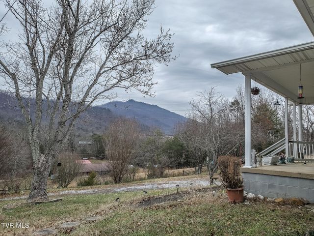 61 Rattlesnake Ridge Road, Chuckey, TN 37641