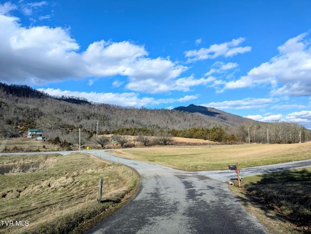 61 Rattlesnake Ridge Road, Chuckey, TN 37641