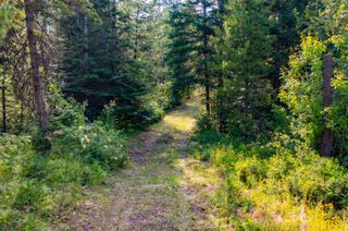 NKA Slate rd Lot 18 Rd, Newport, WA 99156