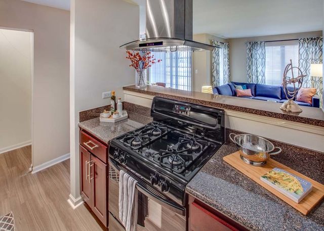 120 Lincoln Oaks Drive 1114, Willowbrook, IL 60527