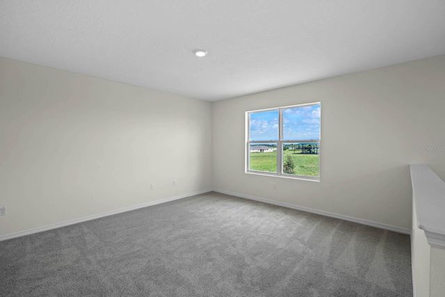 1258 ALSTONIA, Mount Dora, FL 32757