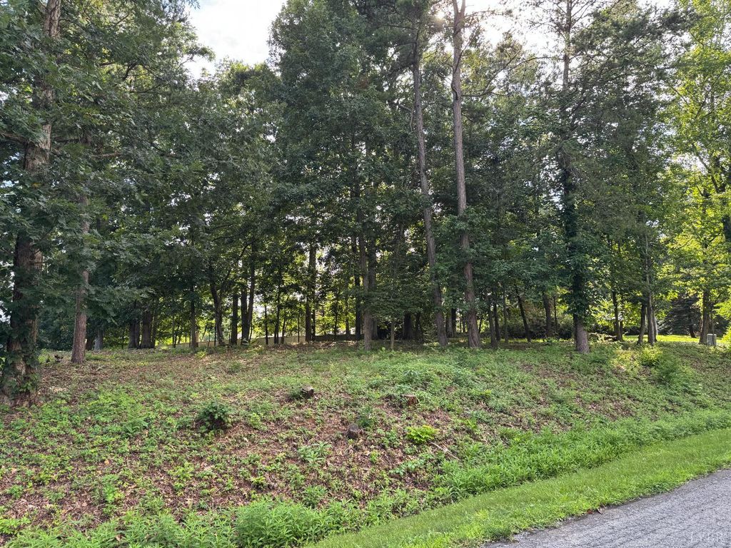 Image 1 of property listing at 59 MacGregor Drive, Blue Ridge, VA 24064