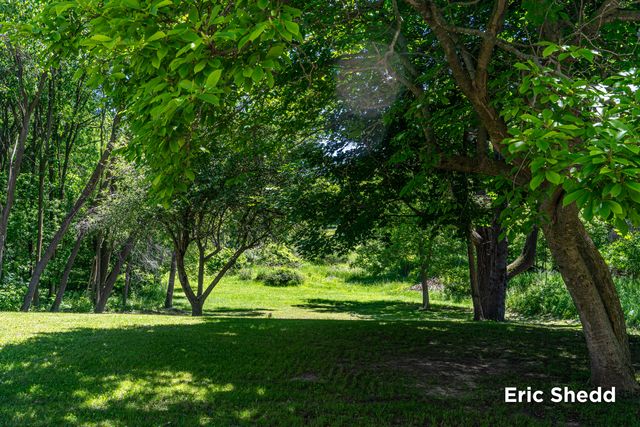 222 East Avenue, Fremont, MI 49412
