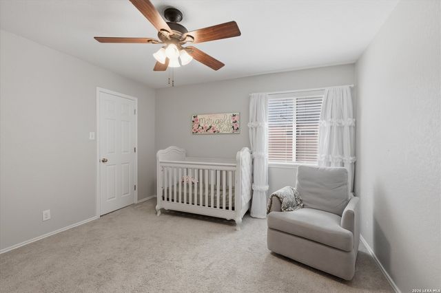 3009 Muntjac, Schertz, TX 78154