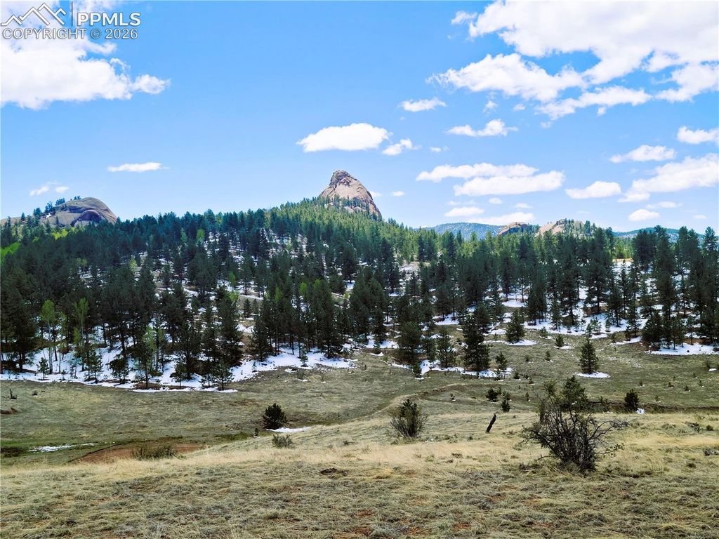 409 Wind Dancer Circle, Florissant, CO 80816 — photo 3