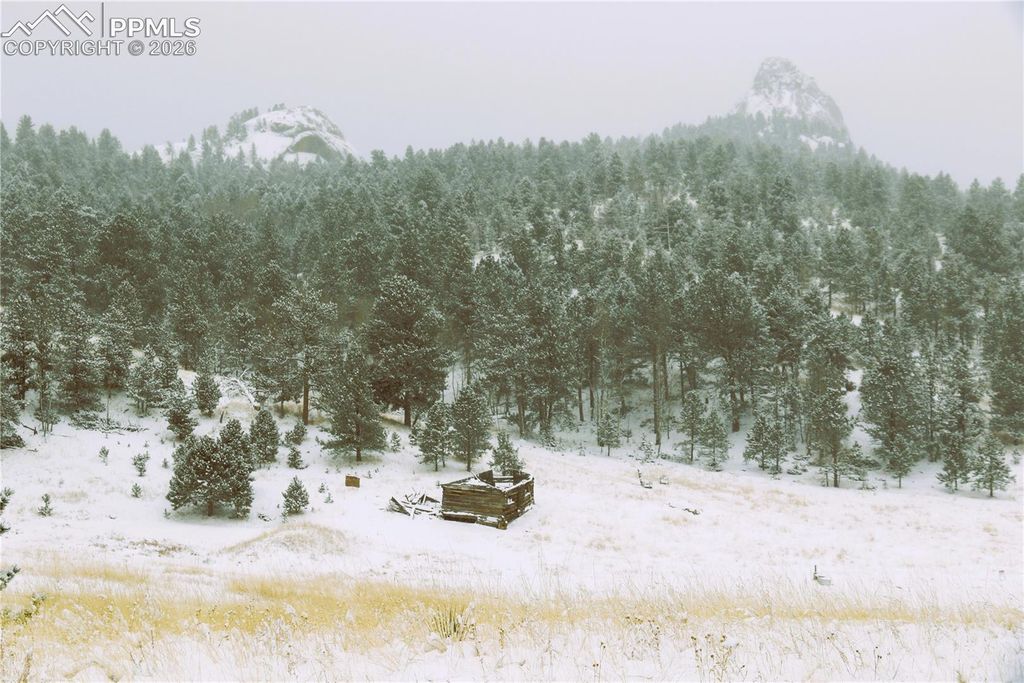 409 Wind Dancer Circle, Florissant, CO 80816 — photo 5