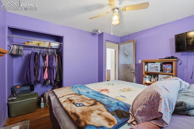 2022 Olympic Drive, Colorado Springs, CO 80910