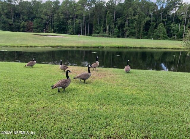 925 LOTUS Lane S, Jacksonville, FL 32259