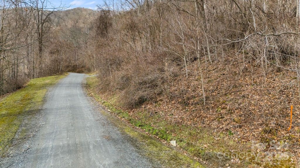 TBD Live Oak Loop 64, Waynesville, NC 28785