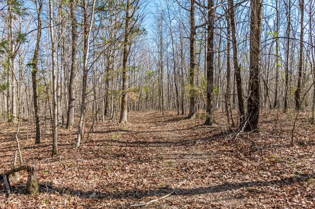 1051 Smith Avenue, Hohenwald, TN 38462