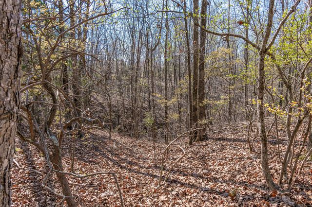 1051 Smith Avenue, Hohenwald, TN 38462