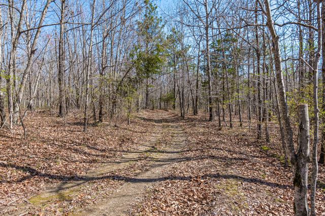 1051 Smith Avenue, Hohenwald, TN 38462