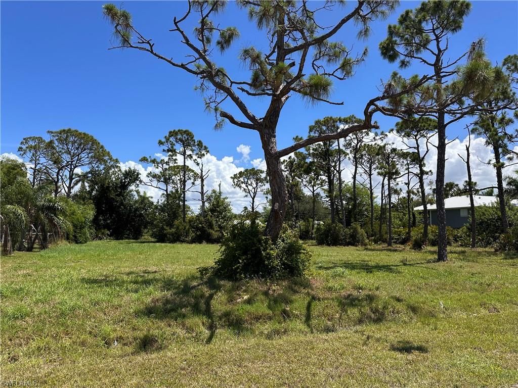 3712 Mango ST, ST. JAMES CITY, FL 33956 — photo 2