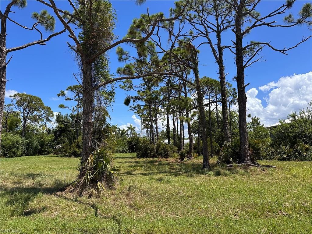 3712 Mango ST, ST. JAMES CITY, FL 33956 — photo 3