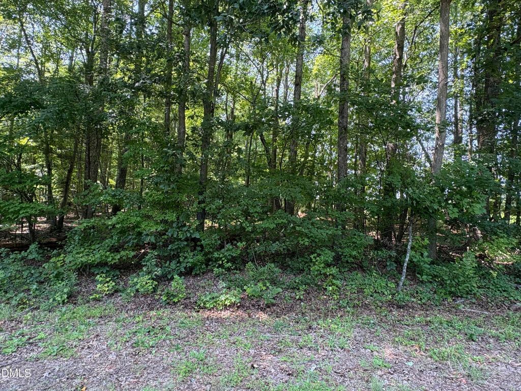 Lot 1 Sams Road, Mebane, NC 27302