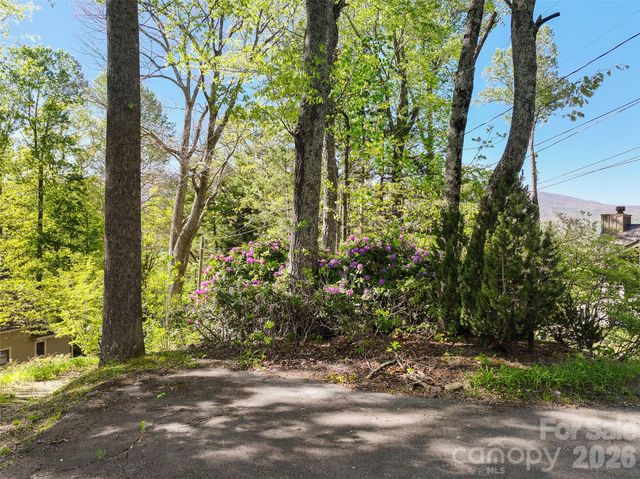 479 Old Dummy Line Road, Balsam, NC 28707