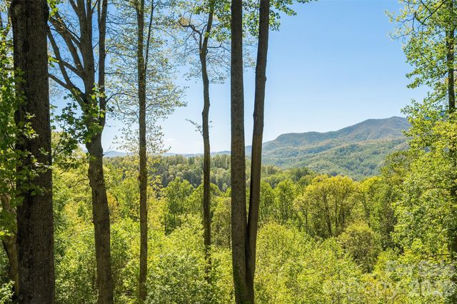 479 Old Dummy Line Road, Balsam, NC 28707