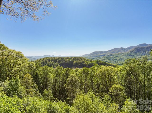 479 Old Dummy Line Road, Balsam, NC 28707