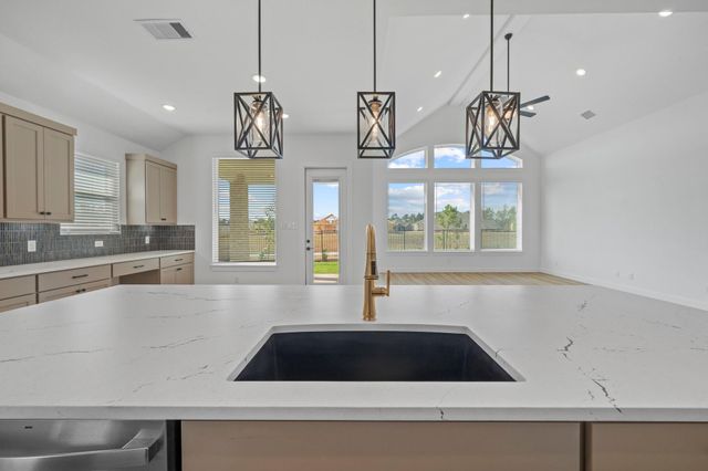 15508 Leopard Lily Lane, Conroe, TX 77302