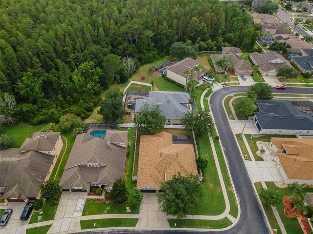 1629 SALMONBERRY STREET, Wesley Chapel, FL 33543