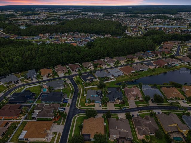 1629 SALMONBERRY STREET, Wesley Chapel, FL 33543
