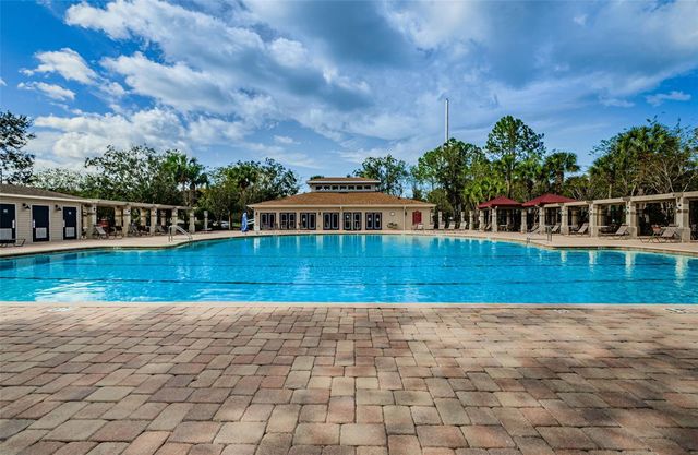 1629 SALMONBERRY STREET, Wesley Chapel, FL 33543