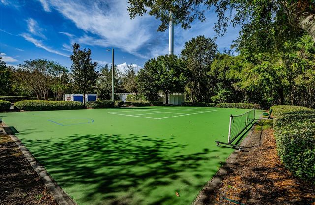 1629 SALMONBERRY STREET, Wesley Chapel, FL 33543