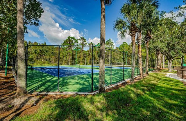 1629 SALMONBERRY STREET, Wesley Chapel, FL 33543
