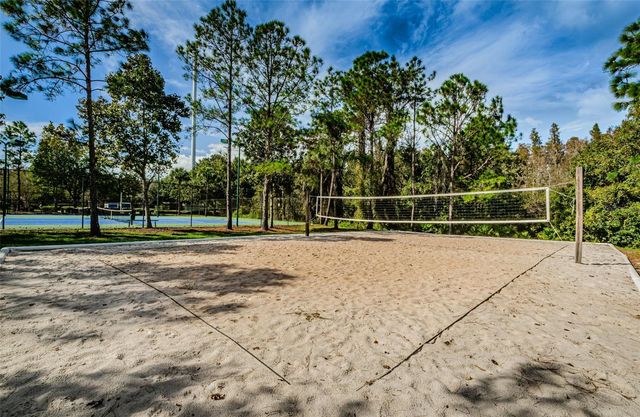1629 SALMONBERRY STREET, Wesley Chapel, FL 33543