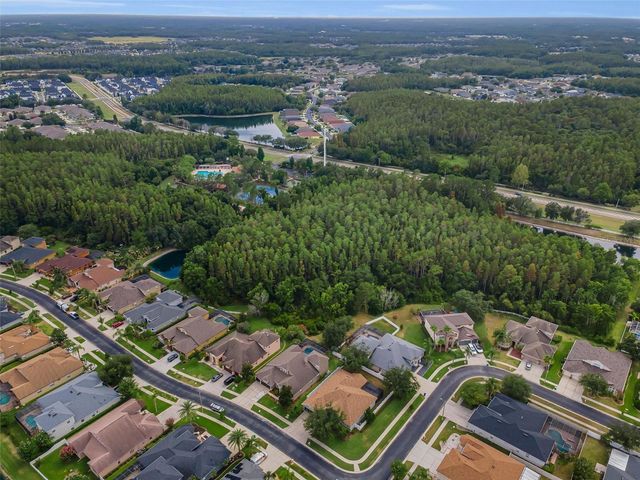 1629 SALMONBERRY STREET, Wesley Chapel, FL 33543