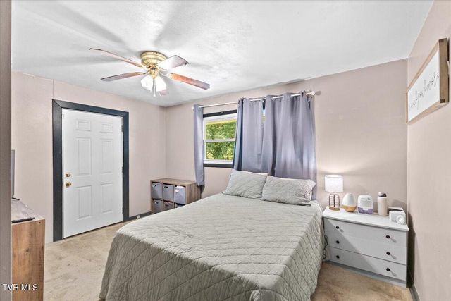 334 Mimosa Street, Mount Carmel, TN 37645