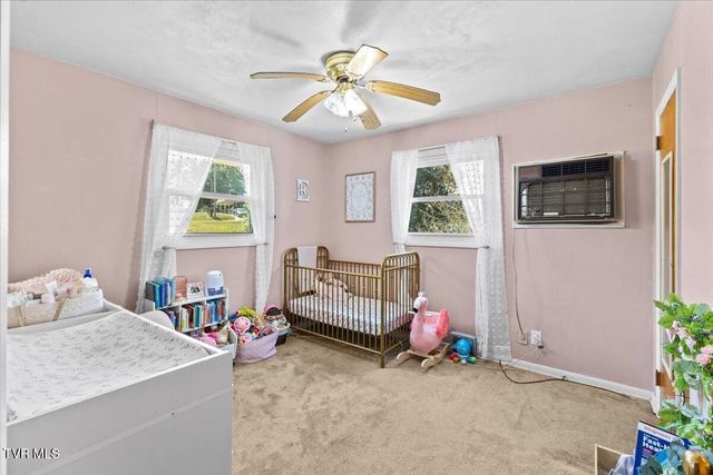 334 Mimosa Street, Mount Carmel, TN 37645