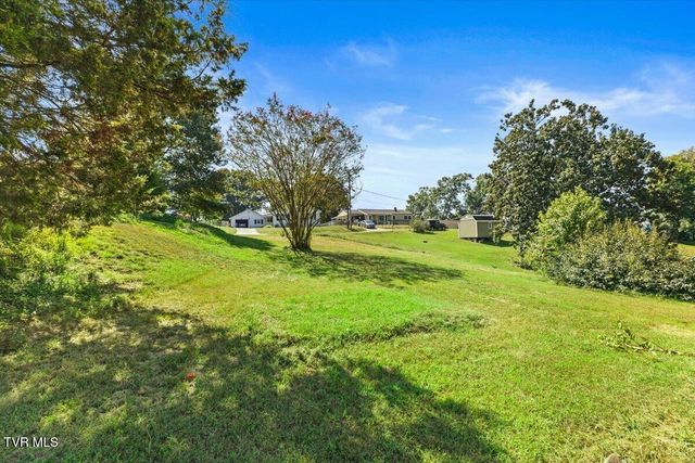 334 Mimosa Street, Mount Carmel, TN 37645