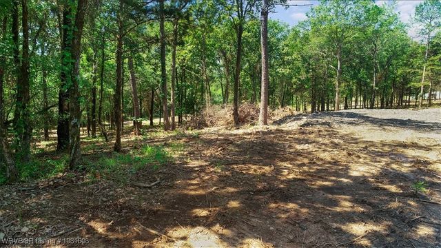 16275 Lovings Road, Heavener, OK 74937